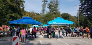 8 dobrodelni trimmigo, foto ekipa trimmigo (5)